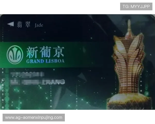 澳门新葡京登陆网址全天候稳定运行，提供最优质的线上娱乐服务