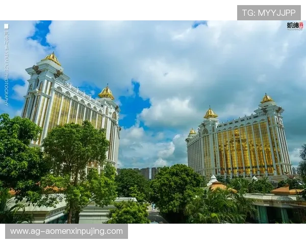 澳门新葡京视频网站全面升级，海量游戏视频内容助您轻松掌握最新玩法技巧