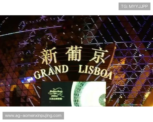 新葡京娱乐城网址官方入口2026年最新稳定登录地址推荐与使用技巧