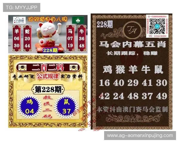 澳门彩线上登陆流程详解，确保玩家轻松安全地进入平台进行各类彩票游戏