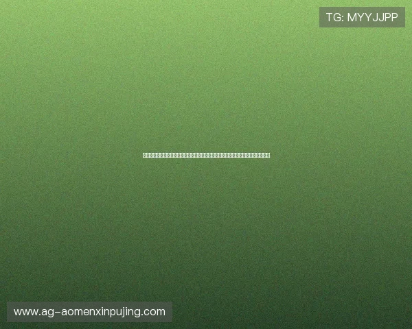 新普京棋牌官网提供专业的世界杯战术分析与球队实力评估满足深度足球爱好者需求